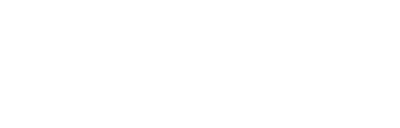 Darcy Flynn