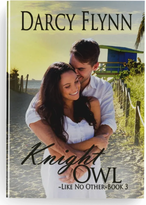 Knight Owl cover